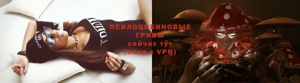 крисы Заволжск